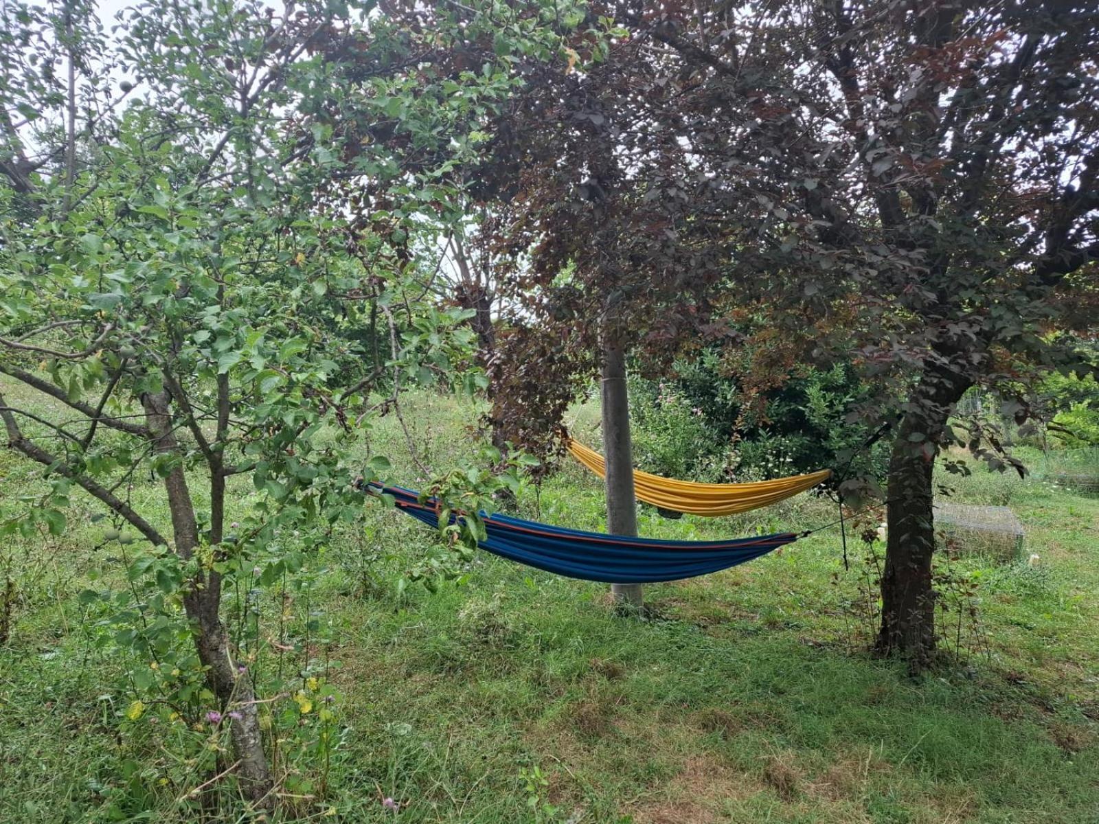 B&B Ride Appennino Montefiorino Εξωτερικό φωτογραφία